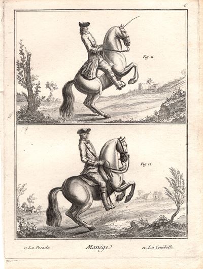Diderot e D'Alembert, 1778, Equitazione, cavallo, la pesade, la courbette