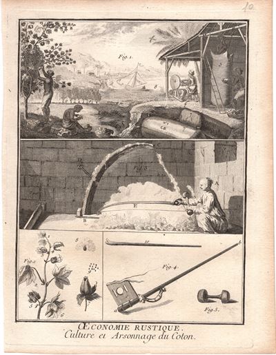 Diderot e D’Alembert, 1771, raccolta del cotone, cotonieri, arti e mestieri