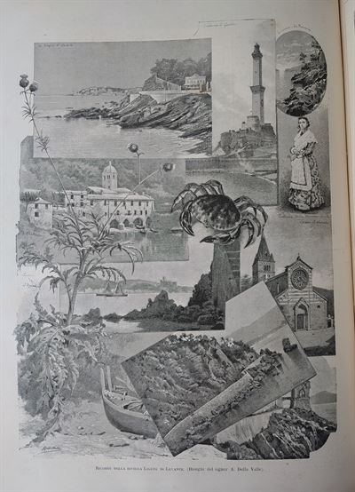 Riviera Ligure di Levante, 1884