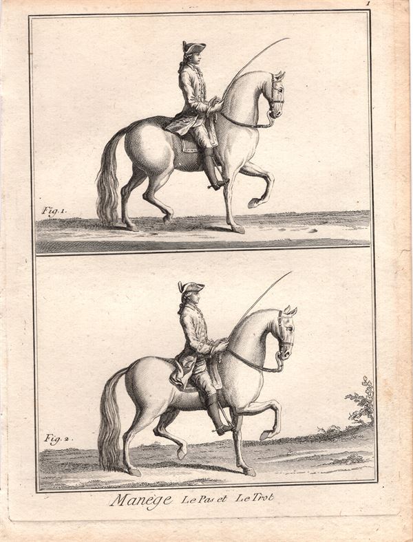 Diderot e D'Alembert, 1778, Equitazione, il passo ed il trotto, cavallo