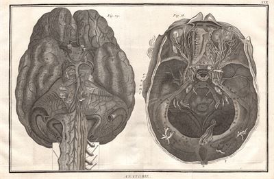 Diderot e D'Alembert,1778, anatomia orecchio otorino *45444