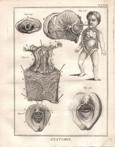 Diderot e D'Alembert, 1778 apparato riproduttore ovaio ginecologia vagina
