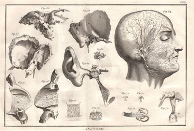 Diderot e D'Alembert,1778, anatomia occhio oculistica *81368