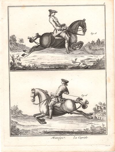 Diderot e D'Alembert, 1778, Equitazione, cavallo, la capriole