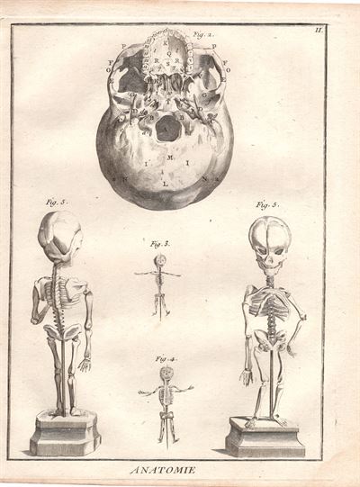 Diderot e D'Alembert,1778, scheletro *36438