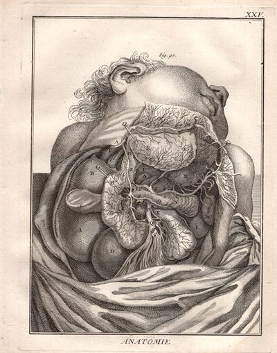 Diderot e D'Alembert,1778, anatomia cardiologia sistema circolatorio cuore  *8030