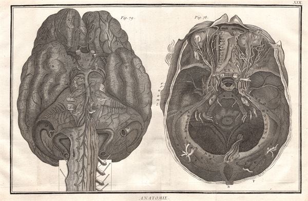 Diderot e D'Alembert,1778, anatomia orecchio otorino *45444