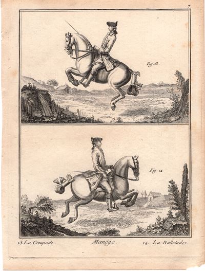 Diderot e D'Alembert, 1778, Equitazione, cavallo, la groupade