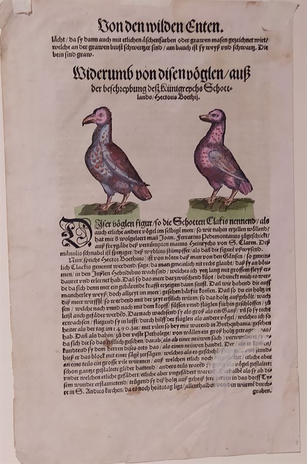 Conrad Gessner (Zurigo, 1516 - 1565) Tavola Ornitologica tratta da Historiae Animalium *42204 *86807